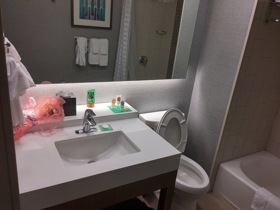 Hyatt Place Austin Downtown — Bathroom