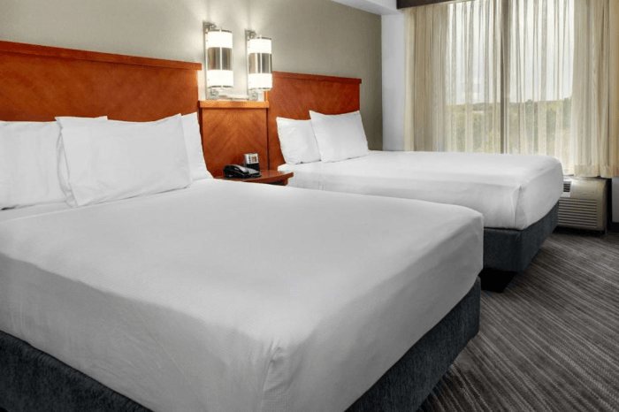 Hyatt Place Busch Gardens — Guest room