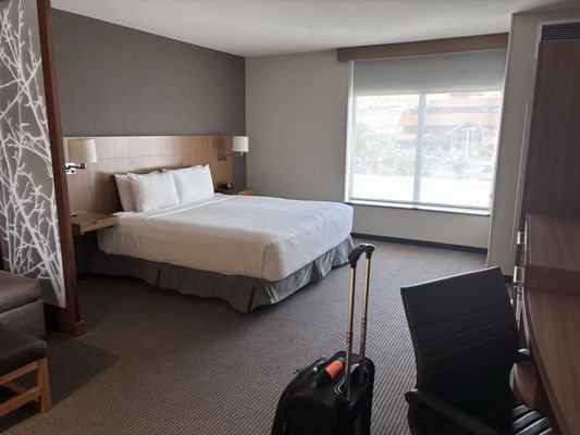 Hyatt Place St George Convention Center — Guest room