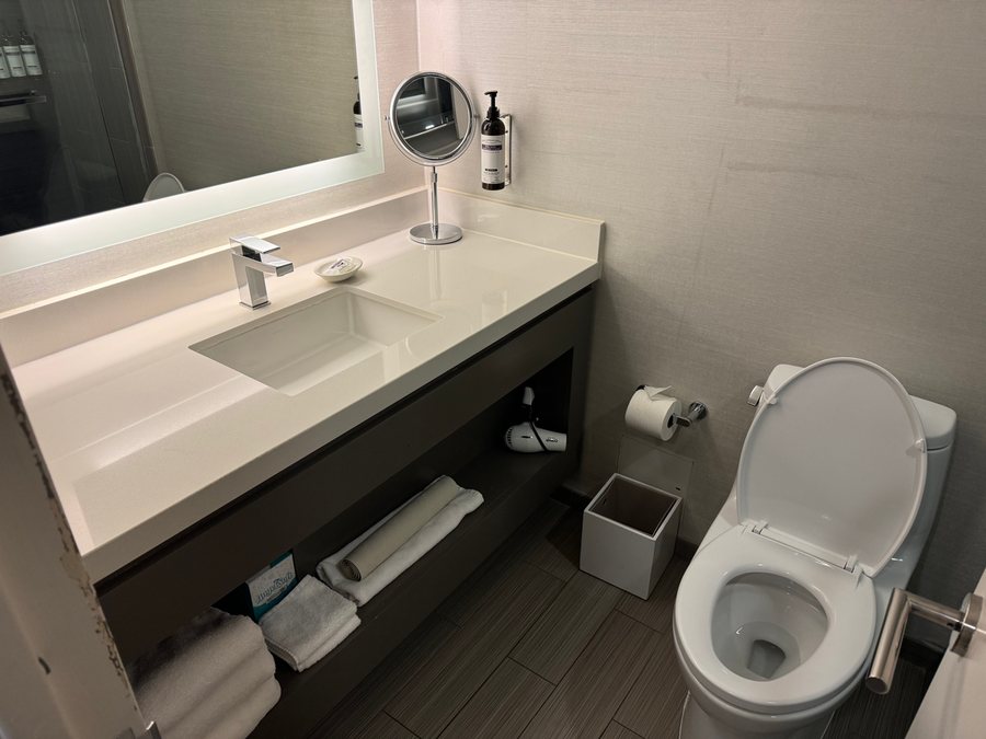 Hyatt Regency Atlanta — Bathroom