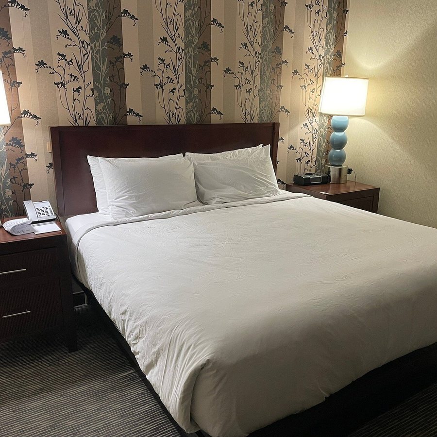Hyatt Regency Buffalo Hotel and Conference Center — Guest room