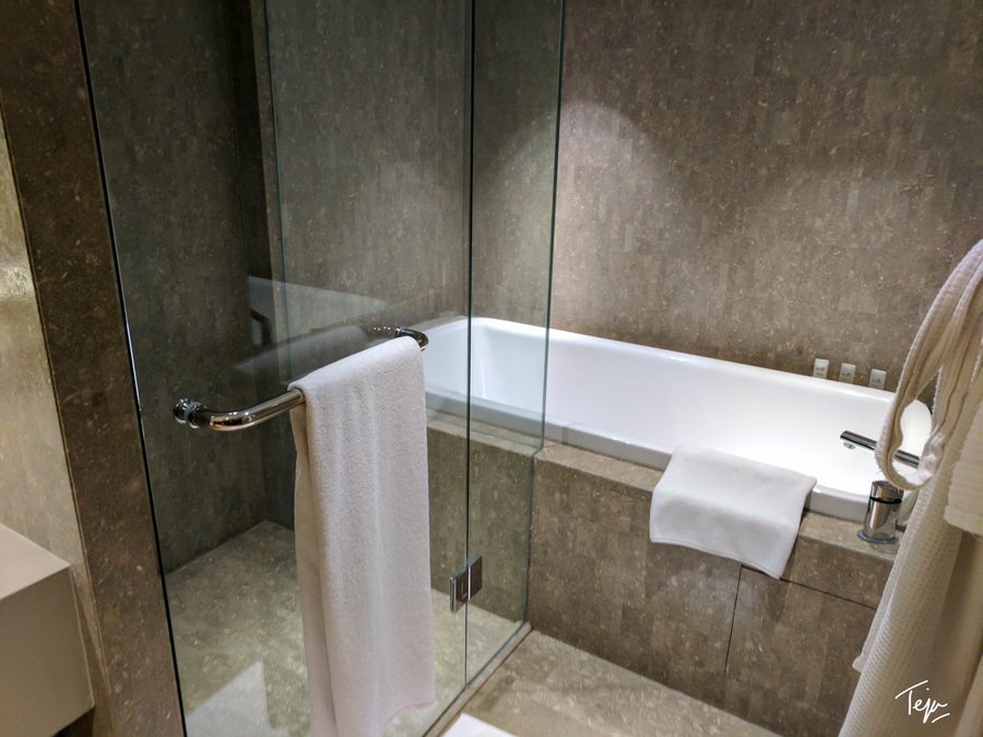 Hyatt Regency Delhi — Bathroom