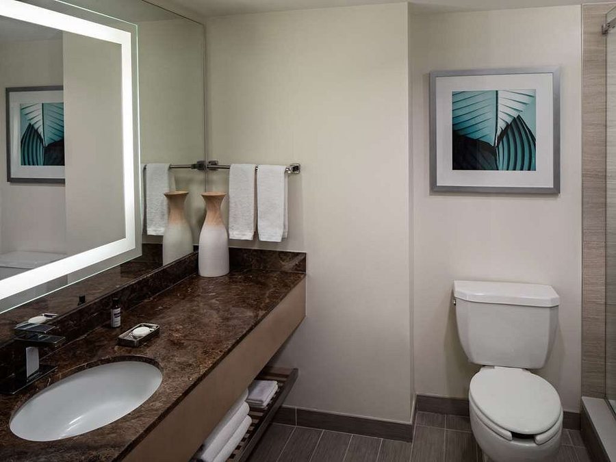 Hyatt Regency Jacksonville Riverfront Jacksonville Florida — Bathroom