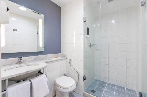 Ibis Sao Paulo Paulista — Bathroom