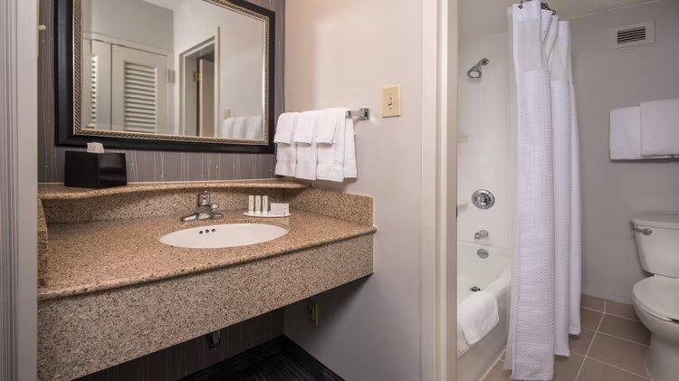 Inn At Buck Hollow Farm — Bathroom
