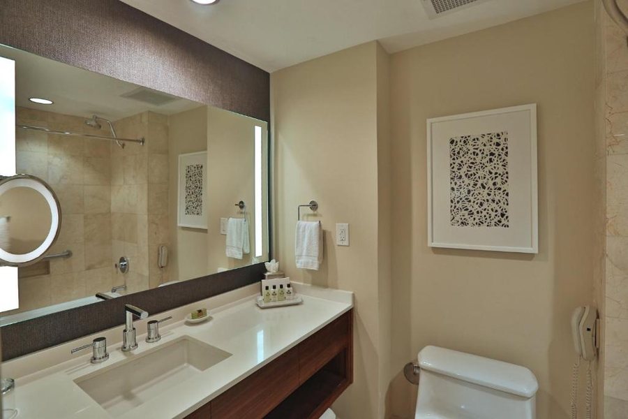 Intercontinental Miami By IHG Miami Florida — Bathroom