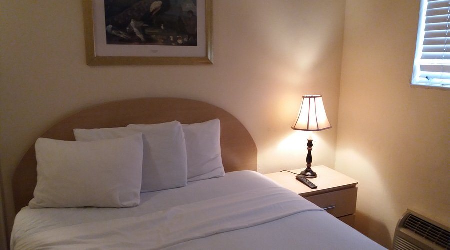 Island House South Beach Hotel Miami Beach Florida — Guest room