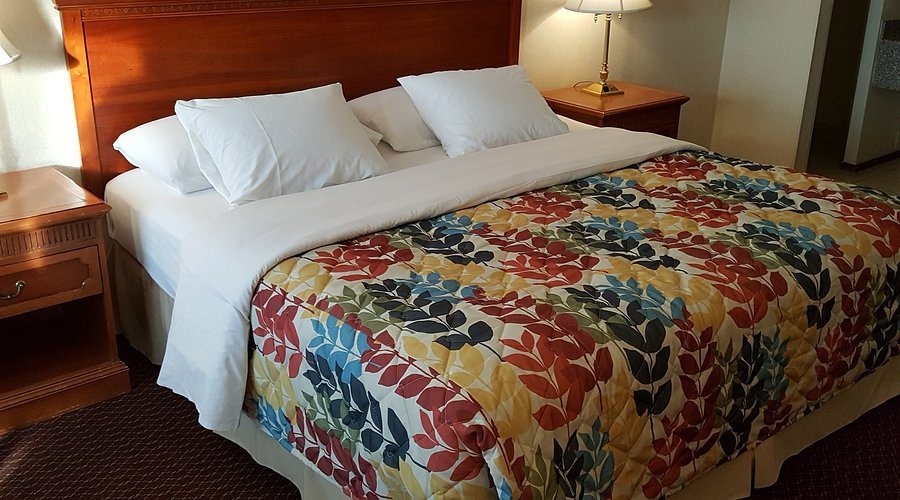 Islander Motel Santa Cruz Ca USA — Guest room
