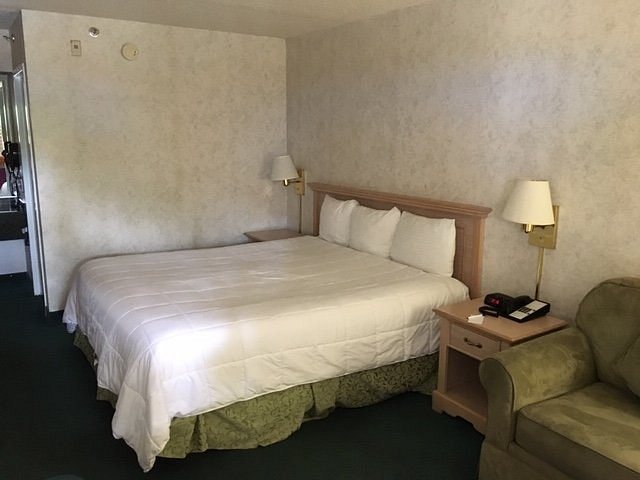 Ivy Palm Resort — Guest room