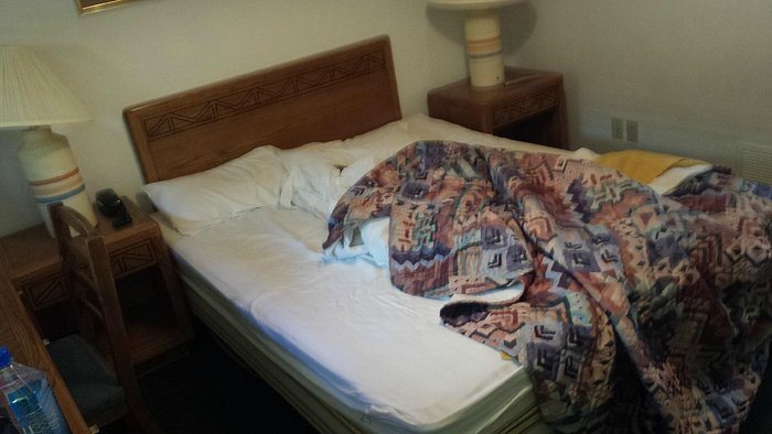 Jared s Wild Rose Resort — Guest room