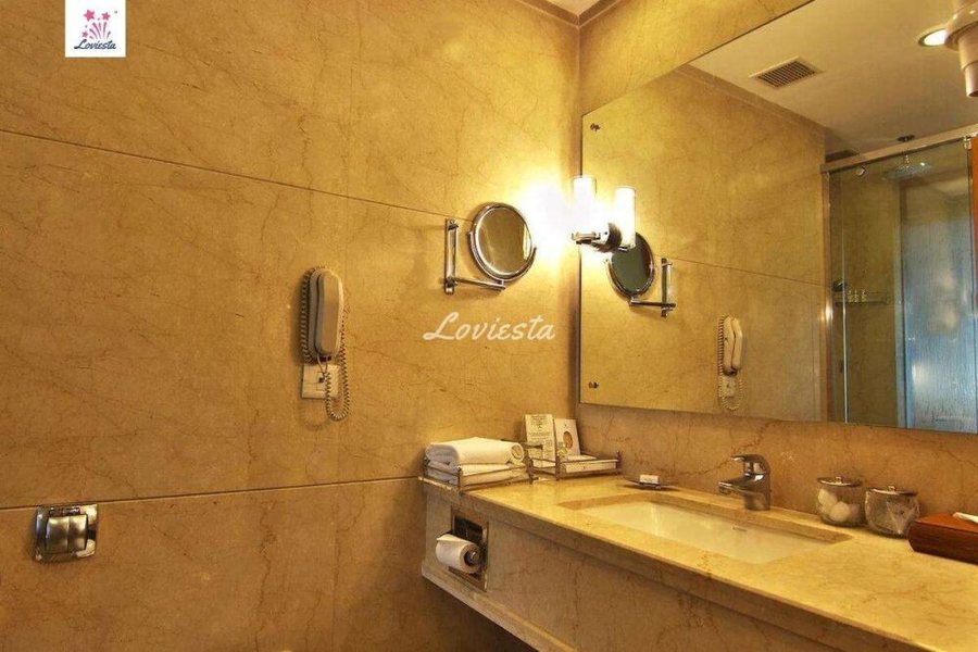 Jaypee Siddharth — Bathroom