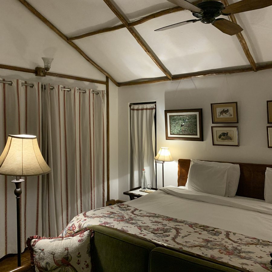 Jim s Jungle Retreat — Guest room