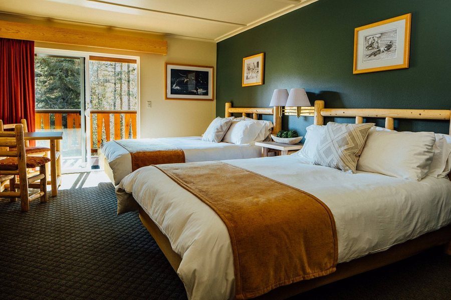 Johnstone Adventure Lodge — Guest room