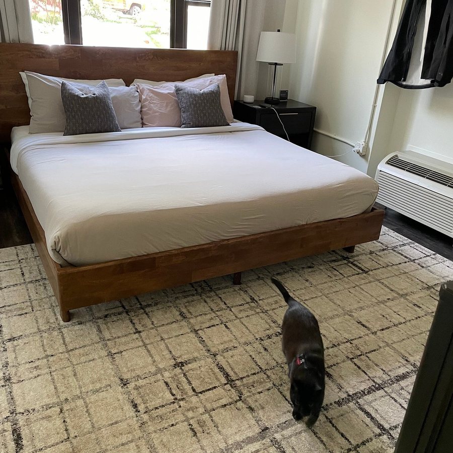 Kasa Downtown Asheville — Guest room