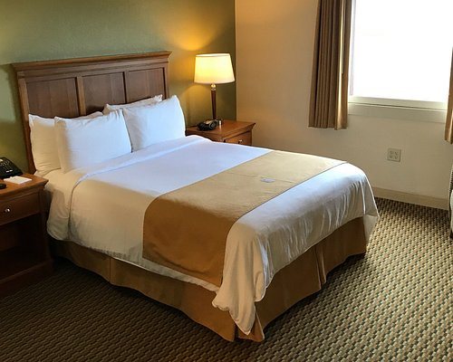 Key West NAS Fly Navy — Guest room
