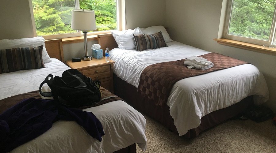 Kingfisher Charters Lodge — Guest room