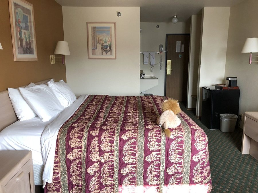 Kings Inn Cody Hotel — Guest room