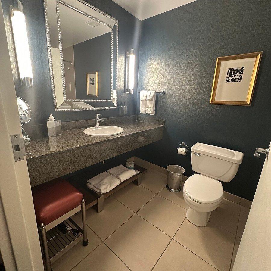 Kinzie Hotel Chicago Illinois — Bathroom