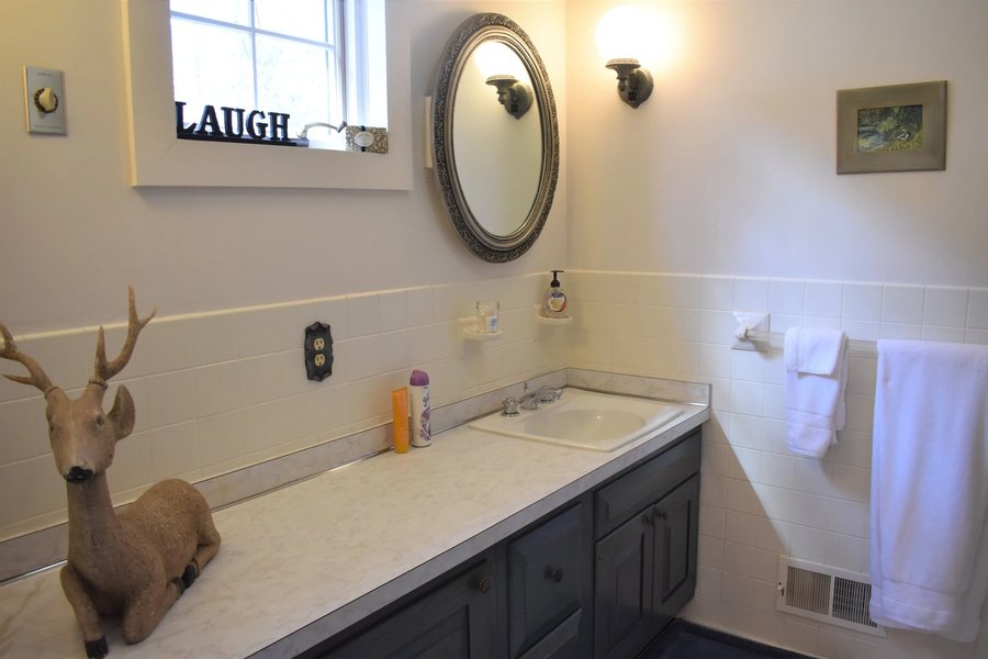 Knapps Creek Trout Lodge — Bathroom