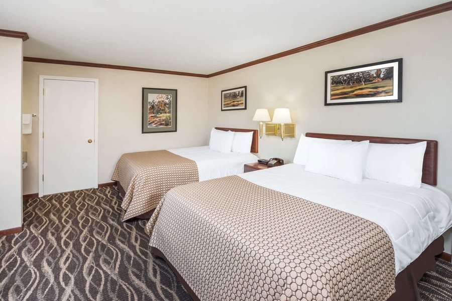 Knights Inn Jacksonville at Dix Ellis Trail — Guest room