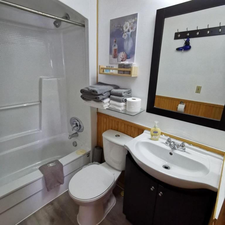 Knotty Pine Motel — Bathroom