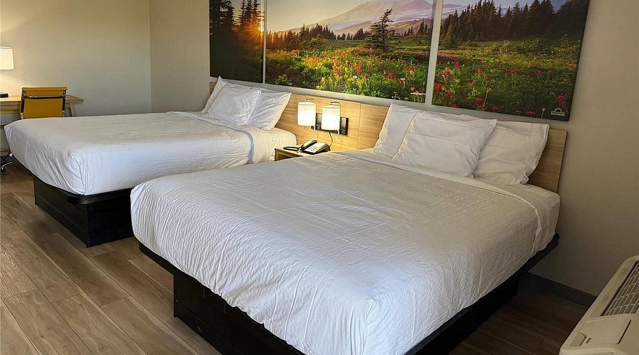 La Quinta Inn by Wyndham Reno — Guest room