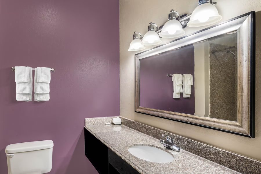La Quinta Inn Suites by Wyndham Canton MS — Bathroom