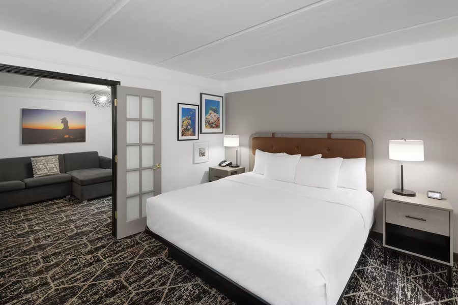 La Quinta Inn Suites by Wyndham Houston Bush IAH South — Guest room