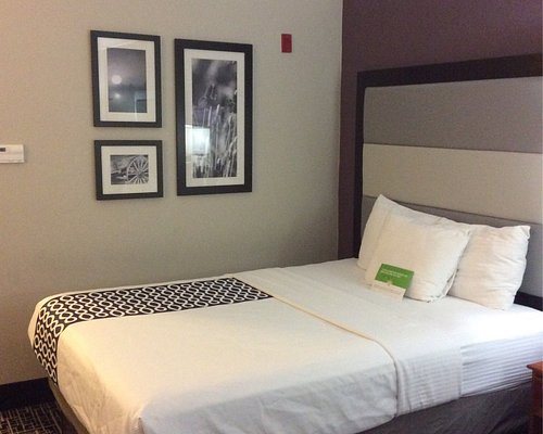 La Quinta Inn Suites by Wyndham Houston Rosenberg — Guest room
