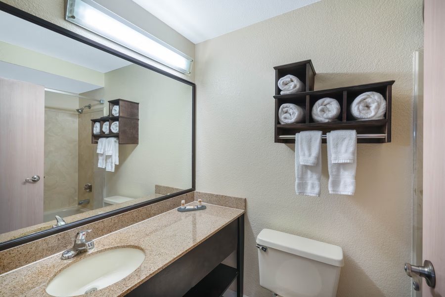 La Quinta Inn Suites by Wyndham Memphis Airport Graceland — Bathroom