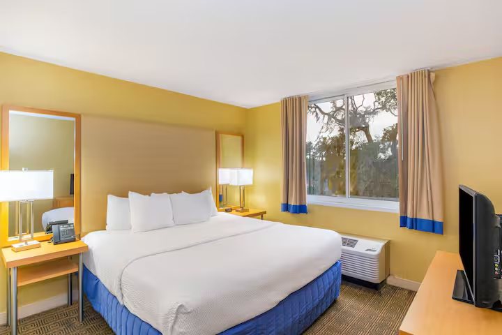 La Quinta Inn Suites by Wyndham Sarasota Downtown — Guest room