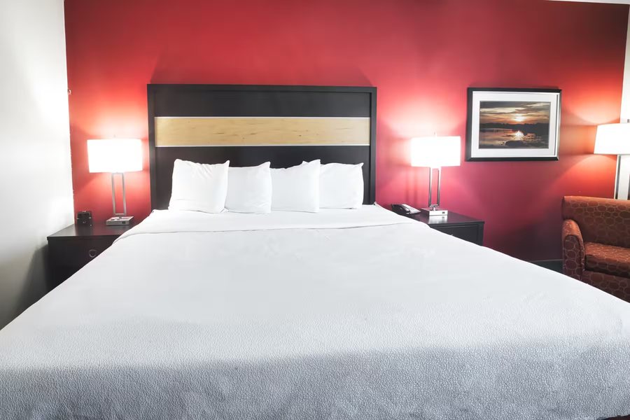 La Quinta Inn Suites by Wyndham Starkville at MSU — Guest room