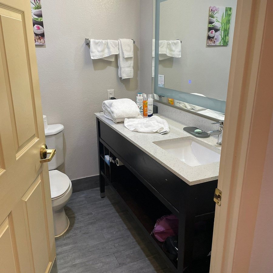 La Quinta Inn Suites by Wyndham Tampa Bay Area Tampa South — Bathroom