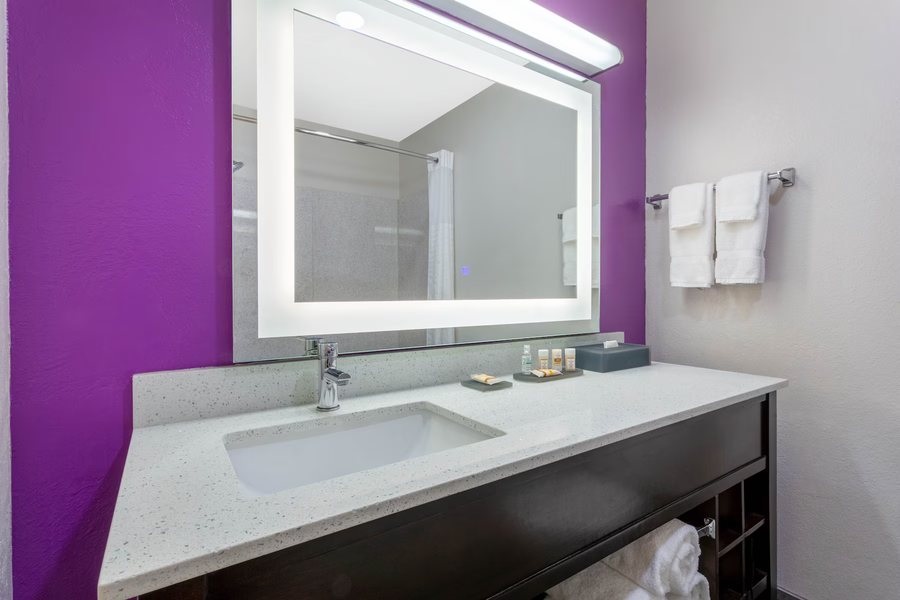 La Quinta Inn Suites by Wyndham Tampa Central — Bathroom