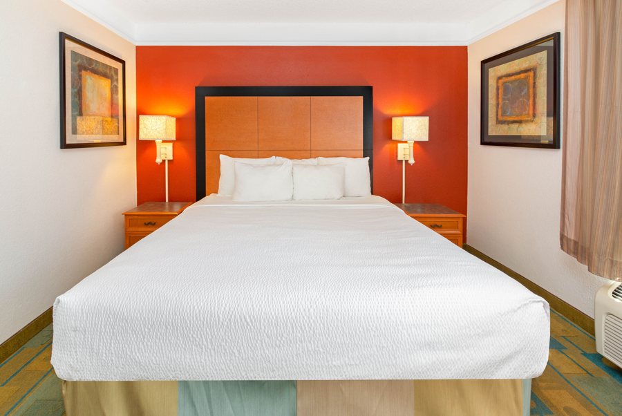 La Quinta Inn Suites by Wyndham USF — Guest room