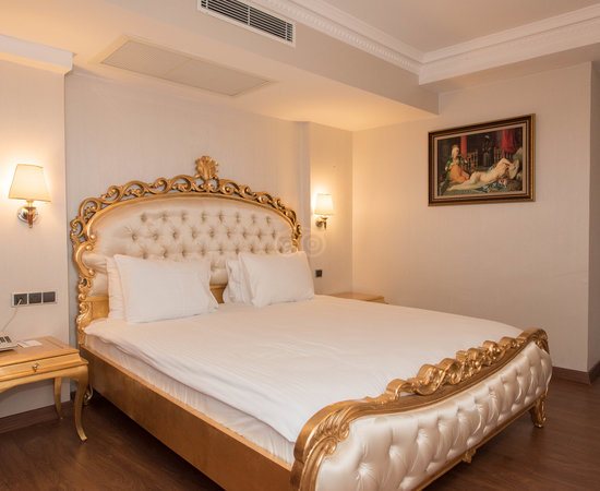Lady Diana Hotel Istanbul — Guest room