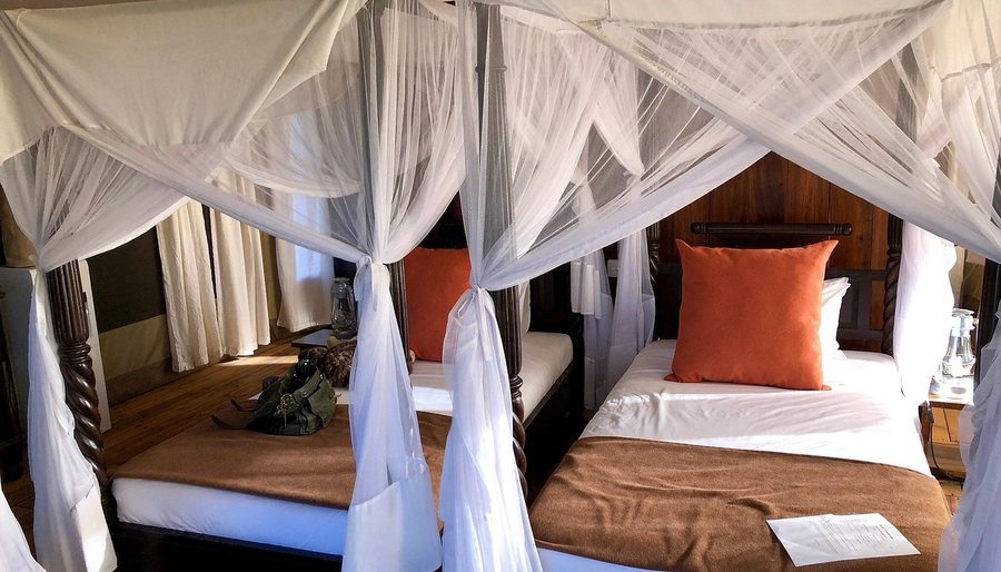 Lake Masek Tented Camp — Guest room