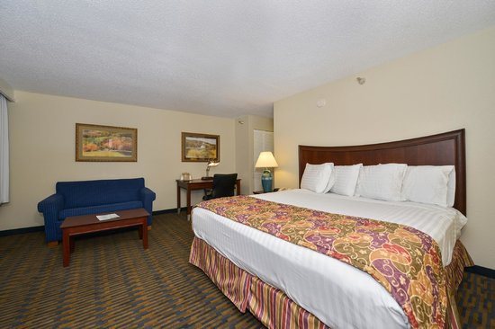 Lamplighter Inn Suites South — Guest room