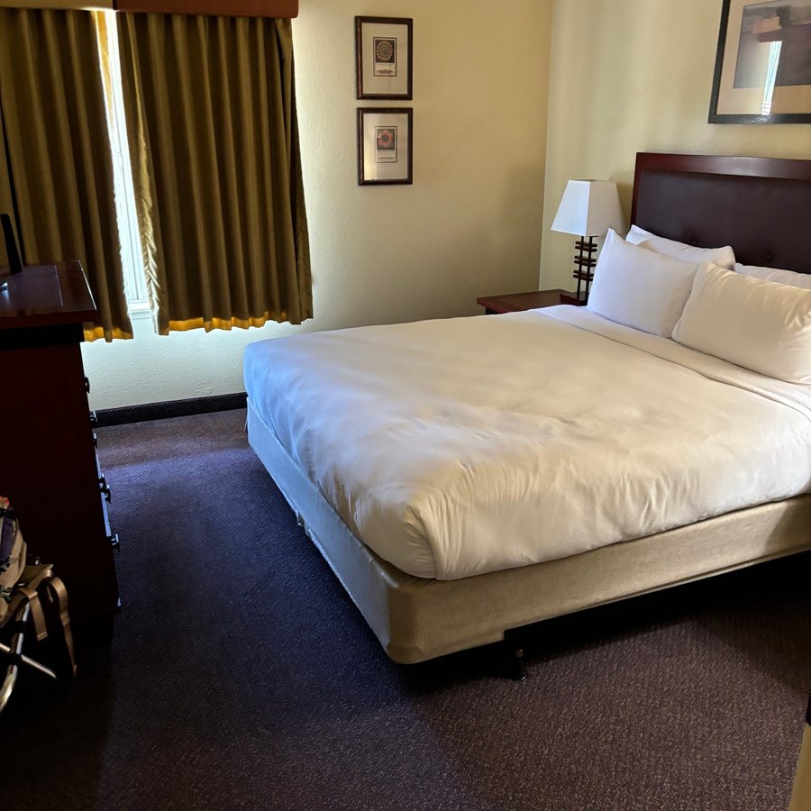 Larkspur Landing Extended Stay Suites Bellevue — Guest room