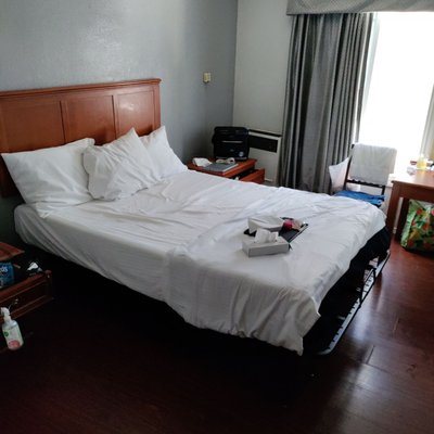 Las Palmas Hotel Los Angeles California — Guest room
