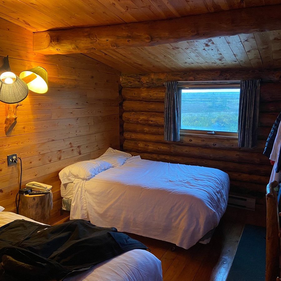 Lazy Bear Lodge — Guest room