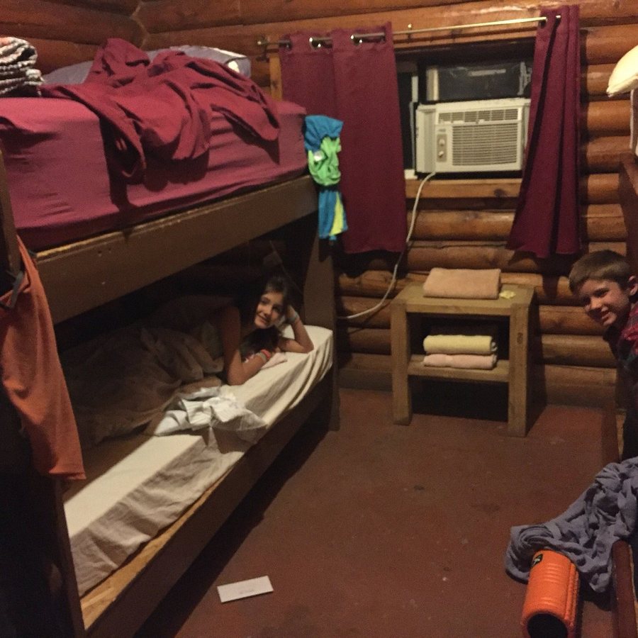 Lazy Lizard International Hostel — Guest room