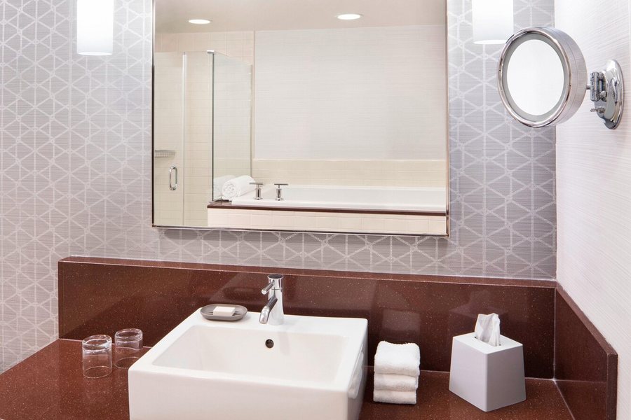 Le Meridien Arlington — Bathroom