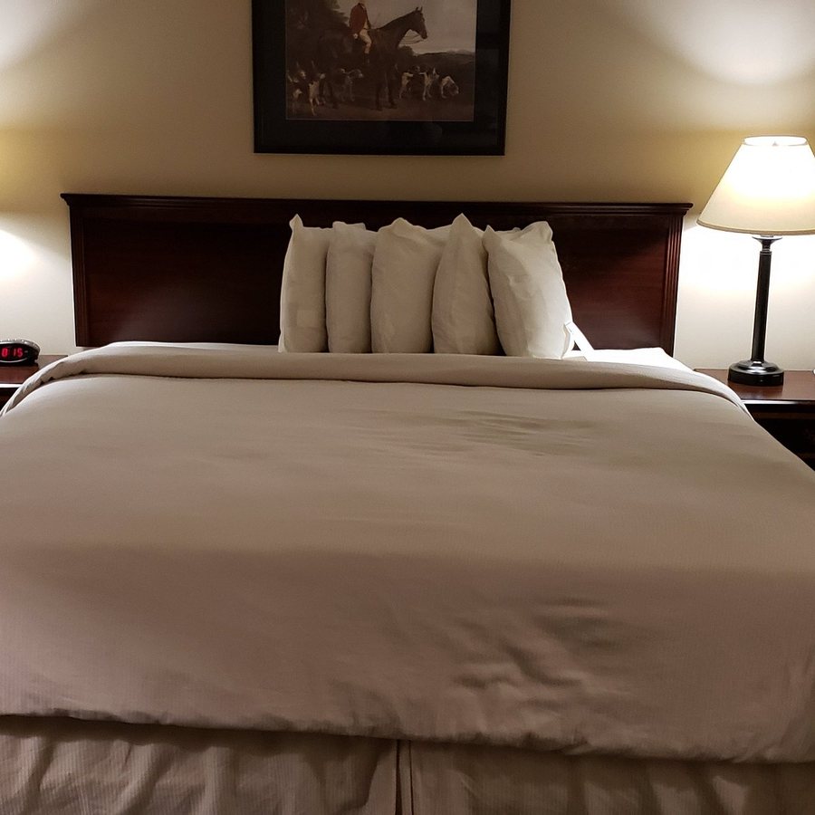 Legacy Hotel and Conferences — Guest room