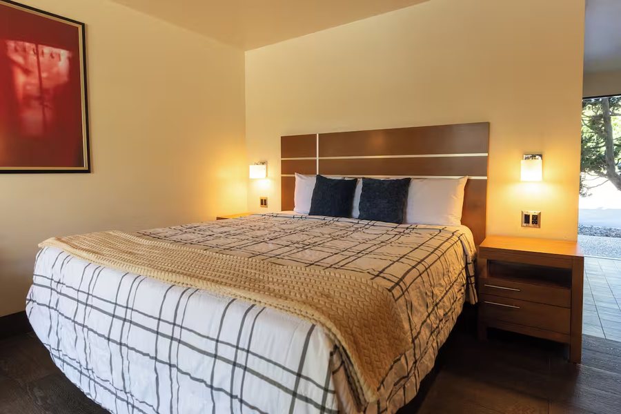 Lemon Tree Inn — Guest room