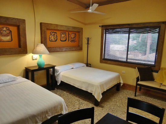 Leo s Baja Oasis — Guest room