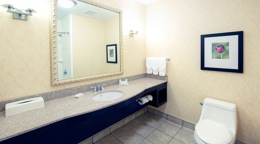 Les Suites Hotel Ottawa — Bathroom