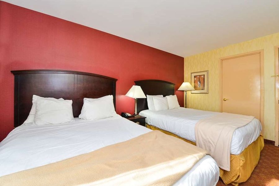 Lex View Inn at JFK Airport — Guest room