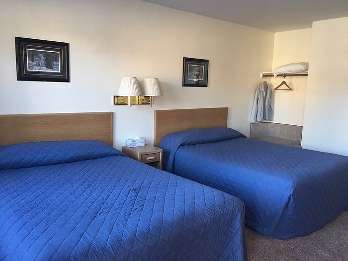 Little Bear Motel — Guest room