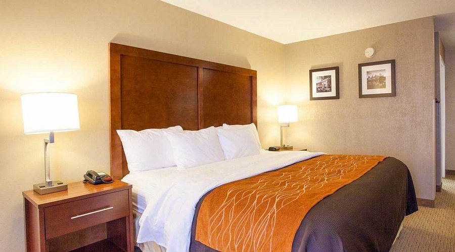 Little Rock North Jct I 40 KOA Journey — Guest room